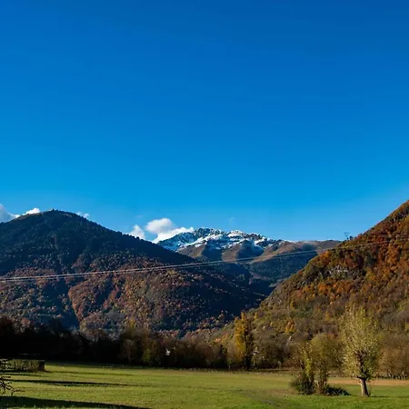 Art Natura