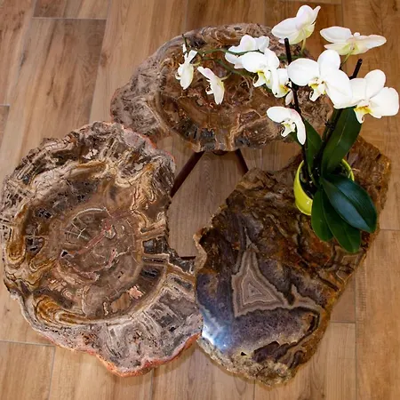 بيت للعطل Art Natura